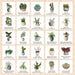 Smith Street Books Games - Plant Bingo: A Game For Green Thumbs