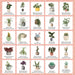 Smith Street Books Games - Plant Bingo: A Game For Green Thumbs