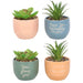 Something Different Indoor Decor - Mini Plant Pots with Artificial Plant