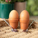 Something Different Novelty Gifts - Plant Pot Egg Cup Set with Shovel Spoons