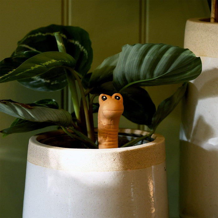 Something Different Novelty Gifts - Willy the Large Terracotta Worm