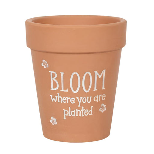 Something Different Pots & Planters - Terracotta Plant Pot - Bloom where you are planted