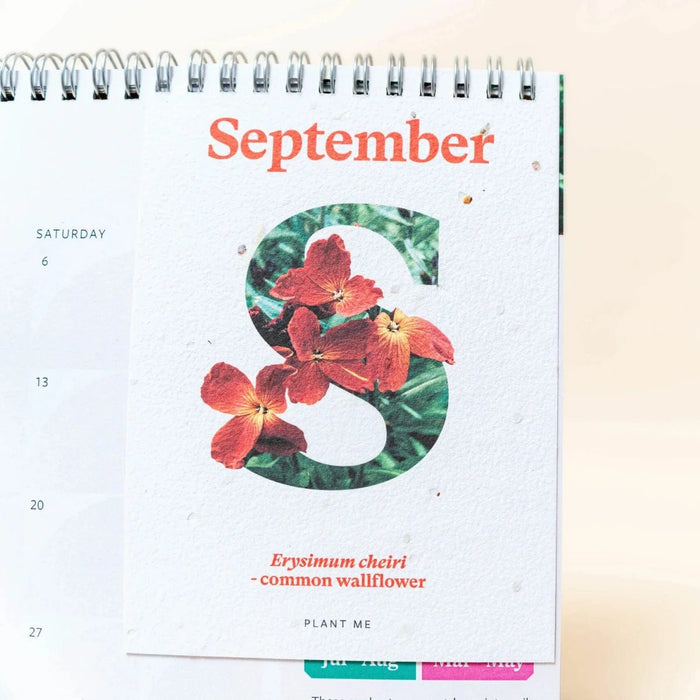 Willsow Calendars & Diaries - RHS & Willsow A4 Plantable Calendar 2025