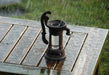 World of Weather Garden Decor - Decorative Rain Gauge (Various Styles)